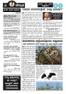 channudi 20.03.2026-page-005